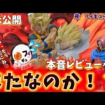 【不評？】大注目の一番くじワンピ&ドラゴンボールの実物展示がまた物議を醸している件について本音で喋る　一番くじ　ドラゴンボール　スペクタクル　親子かめはめ波　ロキ