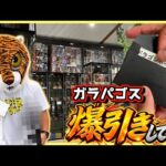 【くじに挑戦で大盛り上がり⁉︎ ブラショも激アツ⁉︎】フィギュアショップ ガラパゴス ドラゴンボール ワンピース ナルト ブラショ