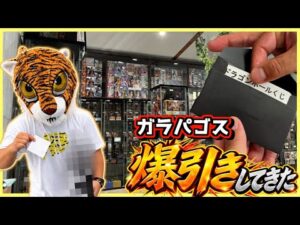 【くじに挑戦で大盛り上がり⁉︎ ブラショも激アツ⁉︎】フィギュアショップ ガラパゴス ドラゴンボール ワンピース ナルト ブラショ