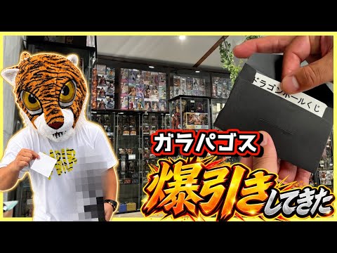 【くじに挑戦で大盛り上がり⁉︎ ブラショも激アツ⁉︎】フィギュアショップ ガラパゴス ドラゴンボール ワンピース ナルト ブラショ
