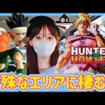 【一番くじ】ひとりで戦った女の記録 ハンターハンター グリードアイランド GREED ISLAND HUNTER×HUNTER ヒロアカ ドラゴンボール ホロライブ ディズニープリンセス フィギュア
