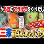 【一番くじ ポケモン30周年】追撃回‼️どうしても御三家を揃えたいのじゃ！【グッズ開封】【Pokémon】【ぬいぐるみ】