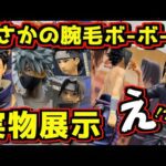 【最新実物展示】 まさかの腕毛ボーボー⁉︎ 上位賞は良い感じだが‥‥⁉︎ 一番くじ NARUTO-ナルト- 疾風伝 心を写す赤き瞳 うちはイタチ シスイ オビト はたけカカシ サスケ ラストワン賞