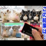 【くじ】ファービー！こんな被ることある？上位賞狙って引いたら●●な結果に。｜レトロファービー、Furby、一番くじ