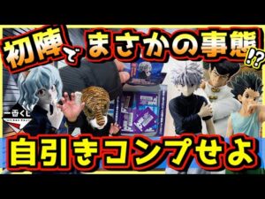 一番くじ ハンターハンター【初陣でアソート1追ったらまさかの事態に⁉︎ 自引きでフルコンプせよ！】ピトー狩り#1 HUNTER×HUNTER CHMERA ANT キメラアント ゴン ラストワン賞