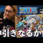 ワンピースの一番くじ15回引いた結果...【一番くじ ワンピース EX 悪魔を宿す者達 vol.3】