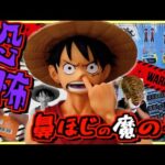 【一番くじ ワンピース】鼻ほじルフィはガチでデンジャラス‼︎ フルコンプ目指していざ勝負‼︎ MONKEY.D.LUFFY 冒険の記憶と未来への航路 ラストワン賞