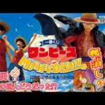 【一番くじ】ワンピース MONKEY.D.LUFFY－冒険の記憶と未来への航路－☠️🏴‍☠️神引き⁉️最初はねｗ後半雑談‼️進撃どうだった⁉️＃一番くじ　＃ワンピース