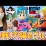 【一番くじ】「ここ穴場ですよ」 ドラゴンボール  フィギュア THE CHRONICLE OF GOKU DRAGON BALL 孫悟空 ブルマ ラストワン ドッカンバトル 鳥山明 ジョジョ ヒロアカ