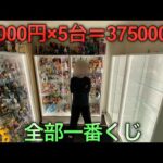 【コレクションケース】自引き一番くじフィギュアで最高の部屋を作る！