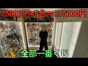 【コレクションケース】自引き一番くじフィギュアで最高の部屋を作る！