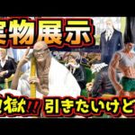 【実物展示】地獄‼︎ このくじ引きたいけど‥⁉︎ ゴンにドラゴンボールカードMANGA BOOSTER 01の展示も⁉︎ 一番くじ ワンピース The Throne of Power 五老星