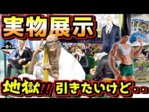 【実物展示】地獄‼︎ このくじ引きたいけど‥⁉︎ ゴンにドラゴンボールカードMANGA BOOSTER 01の展示も⁉︎ 一番くじ ワンピース The Throne of Power 五老星