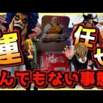 一番くじ ワンピース 試練のその先へ 【もう運任せで挑戦‼︎ ヤバい事態に⁉︎】 ルフィ ゾロ サンジ ミホーク イワンコフ レイリー ラストワン賞