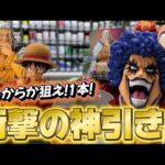 【復活】即完？！大人気一番くじで2人揃ってやらかしたw