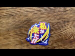 【ヒロアカ】ダブルチャンスに挑戦中【一番くじ】