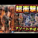 【箱デカすぎ大問題⁉︎ アソートに開催店舗数がヤバすぎる⁉︎】一番くじ HUNTER×HUNTER CHMERA ANT ➁ ラストワン賞 ゴン メルエム ネテロ キルア ピトー