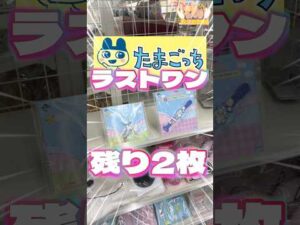 毎日一番くじ528日目たまごっち一番くじ神残り‼️オラゲン〇〇になる#shorts #一番くじ #たまごっち #ドラクエ