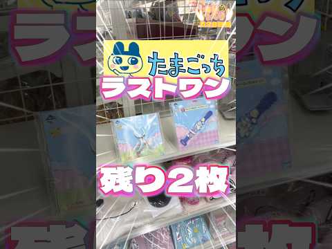 毎日一番くじ528日目たまごっち一番くじ神残り‼️オラゲン〇〇になる#shorts #一番くじ #たまごっち #ドラクエ