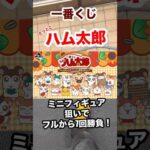 【一番くじ】とっとこハム太郎❗️フルから7回勝負‼️ #一番くじ #とっとこハム太郎 #ハム太郎 #ハムスター #shorts