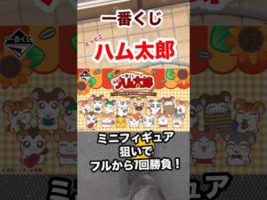 【一番くじ】とっとこハム太郎❗️フルから7回勝負‼️ #一番くじ #とっとこハム太郎 #ハム太郎 #ハムスター #shorts