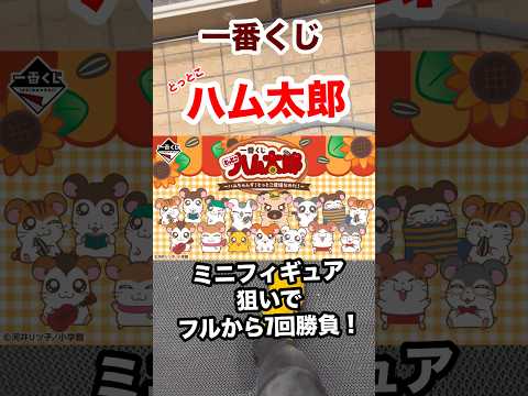 【一番くじ】とっとこハム太郎❗️フルから7回勝負‼️ #一番くじ #とっとこハム太郎 #ハム太郎 #ハムスター #shorts