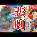 【一番くじ】ドラゴンボールが神熱!!!!長蛇の列に挑んだ結末が酷すぎたw w w