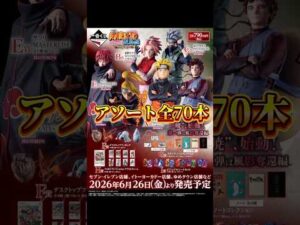 【アソート情報】一番くじ NARUTO-ナルト- 疾風伝 風影奪還編