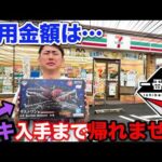 【一番くじ】ワンピース！最強のクオリティ！ラストワン賞ロキGETまで帰れません！｜一番くじ、一番賞、ロキ