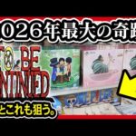 【一番くじ ワンピース】ドラマティックメモリーズ D賞ギガントネーム狙いで安全な深夜に凸。 【ONE PIECE】