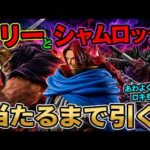 【一番くじワンピース】予想外の展開!!ドリーとシャムロックを当てることができるのか!?