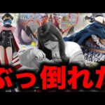 【大惨事】鬼畜過ぎるブロギーのせいで本当にぶっ倒れました