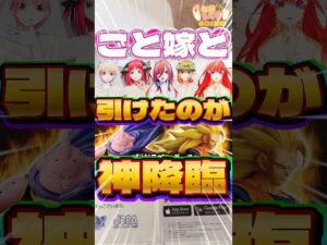 毎日一番くじ601日目五等分の花嫁一番くじを引きにきたらまさかの‥フィギュア神引きさせてください‼️#shorts #一番くじ #ドラゴンボール #五等分の花嫁