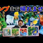 【大散財】一番くじ ドラゴンボール！神龍のクオリティがヤバすぎる！（一番くじ、一番賞、ドラゴンボール）