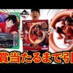【一番くじ】ワンピースカード！購入特典のカードが転売されまくりの緊急事態発生！（一番くじ、ワンピカード、ワンピース）
