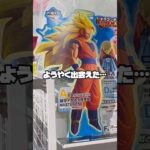 【大争奪戦‼︎大行列一番くじ】一番くじ ドラゴンボール BATTLE OF THE SUPER SAIYAN フィギュア　ポケカの休日