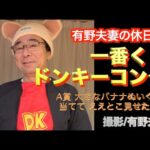 【一番くじ】有野の妻を見る目線【ドンキーコング】