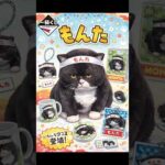 もんたの一番くじ風。どれが好み？ #cat #一番くじ #ichibankuji