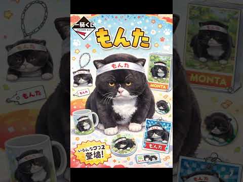 もんたの一番くじ風。どれが好み？ #cat #一番くじ #ichibankuji