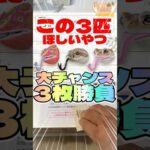 毎日一番くじ416日目大チャンス‼️爬虫類一番くじの狙いが👀#shorts #一番くじ #爬虫類 #フィギュア