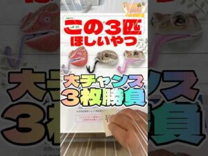 毎日一番くじ416日目大チャンス‼️爬虫類一番くじの狙いが👀#shorts #一番くじ #爬虫類 #フィギュア