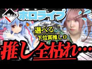 【即完売】初めての「ホロライブ一番くじ」で優勝するはずだったのにまさかの大穴が…【ホロライブ｜一番くじ｜ぺこーら】