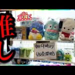 【サンリオくじ】ハンギョドンを狂烈に推している男が『はぴだんぶい』クジに挑む｜一番くじ、サンリオくじ