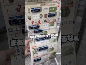 【次男の責務】一番くじ 爬虫類＆両生類～Tiny Friends～vol.3 ポケモン 一番くじを探してたら出会った珍くじ！ポケカの休日。