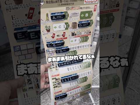 【次男の責務】一番くじ 爬虫類＆両生類～Tiny Friends～vol.3 ポケモン 一番くじを探してたら出会った珍くじ！ポケカの休日。