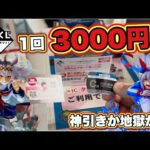 【一番くじ】破産… 1回3000円の高額くじ‼︎ウマ娘 シンデレラグレイ 灰の怪物vs白い稲妻