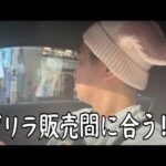 【捜索】ゲリラ販売Switch２とゴジラ一番くじ【２部】