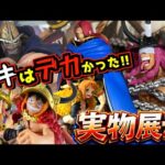 【実物展示】ロキは超デカかった⁉︎ 店員さんが言うには⁉︎ 一番くじ ワンピース -エルバフ編- GIANT BASH!! Vol.1 ルフィ ドリー フィガーランド シャムロック聖 ラストワン賞