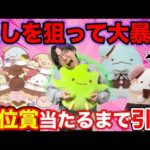 【一番くじ】すみっコぐらし！推しの扱いに大発狂？上位賞当たるまで引いたら絶句の結果に。｜一番くじ、一番賞