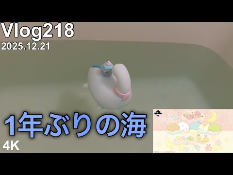 【すみっコぐらし一番くじ】20分だけ無料の駐車場VSジャスティンガトリンふぁんVlog。